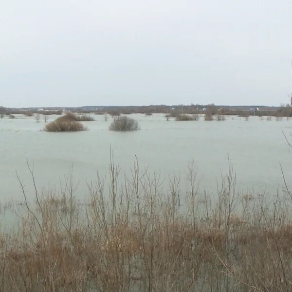 Уровень воды в реке ока горбатов. Уровень воды Ока. Уровень воды в Оке Рязань. Разлив воды в Оке в Рязани 2013г. Уровень воды Ока Горбатов.