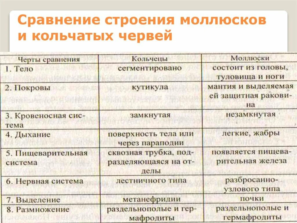 Сравнение строения червей. Таблица сравнительная характеристика кольчатых червей и моллюсков. Сравнительная характеристика кольчатых червей и моллюсков. Сравнительная характеристика кольчатых червей таблица 7 класс. Сравнительная таблица кольчатых червей и моллюсков 7 класс.