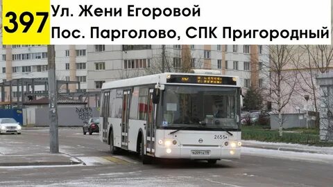 397 автобус спб