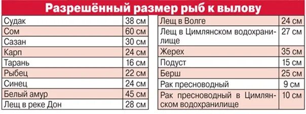 Какие штрафы за рыбу