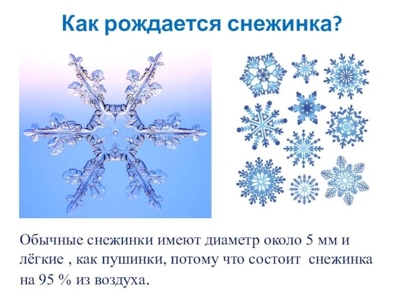 Почему снежинки бывают разные впр 4 класс. Снежинки. Проект Снежинка. Снежинки для презентации. Разнообразие снежинок.