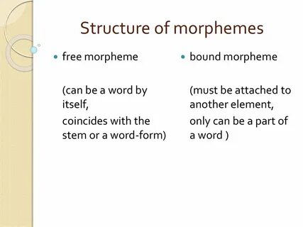 Word structure is