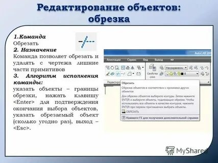 Какая команда в гостях