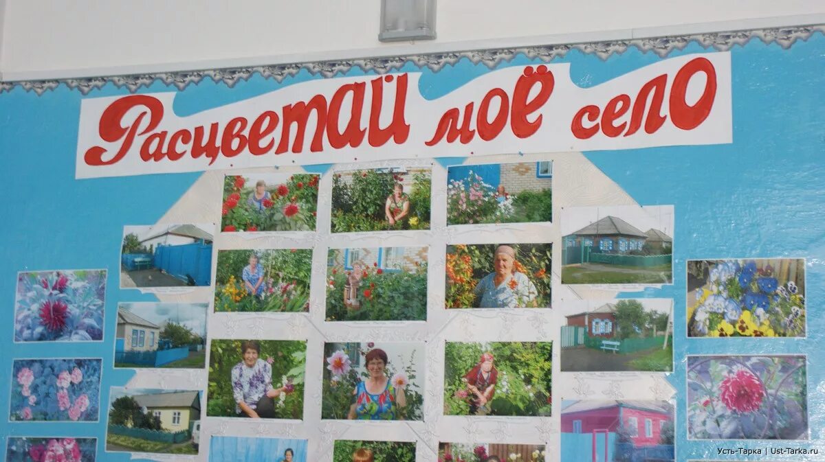 стенд с фотографиями. стенды в доме культуры оформление. оформление стендов в сельском клубе. стенд для грамот. оформление стендов в сельском клубе.