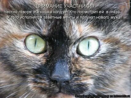 Я сказала гони
