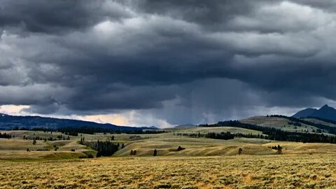 Dull weather