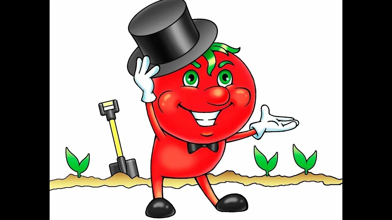 Сеньор помидор удобрения. Сеньор помидор томат. Сеньор помидор томат. Сеньор помидор томат. Синьор помидор.