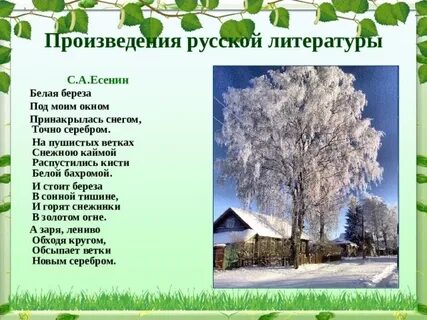 Чтение 2 класс береза