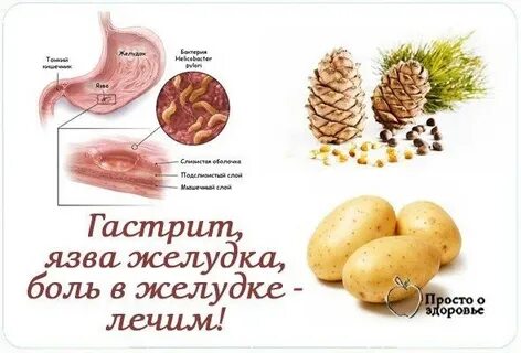 Тест на язву желудка