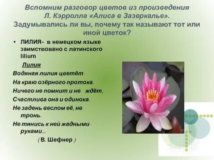 Цвета и цветы в произведении