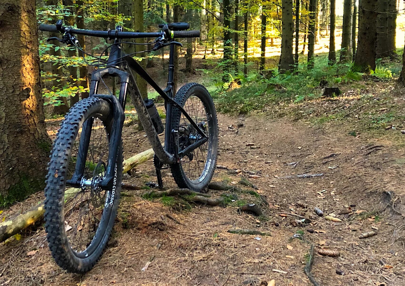 WTB Trail Boss 2.4 27.5. Trail bulzer2022. Скачай trail boss