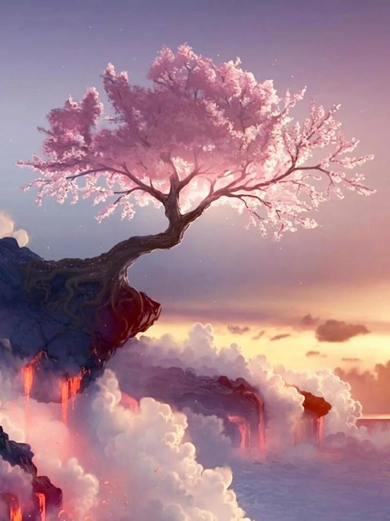 Сакура жизни. Красивый пейзаж. Красивое дерево. Сакура дерево. Дерево на обрыве.