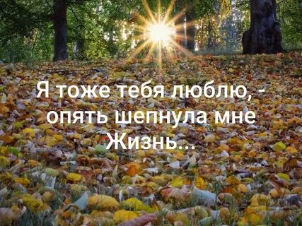 Любите жизнь любите не стесняясь