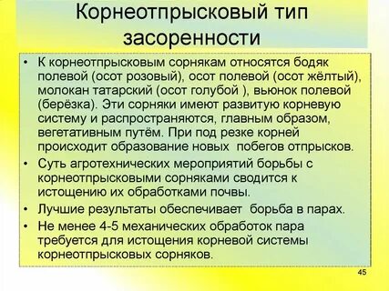 Корнеотпрысковые сорняки борьба