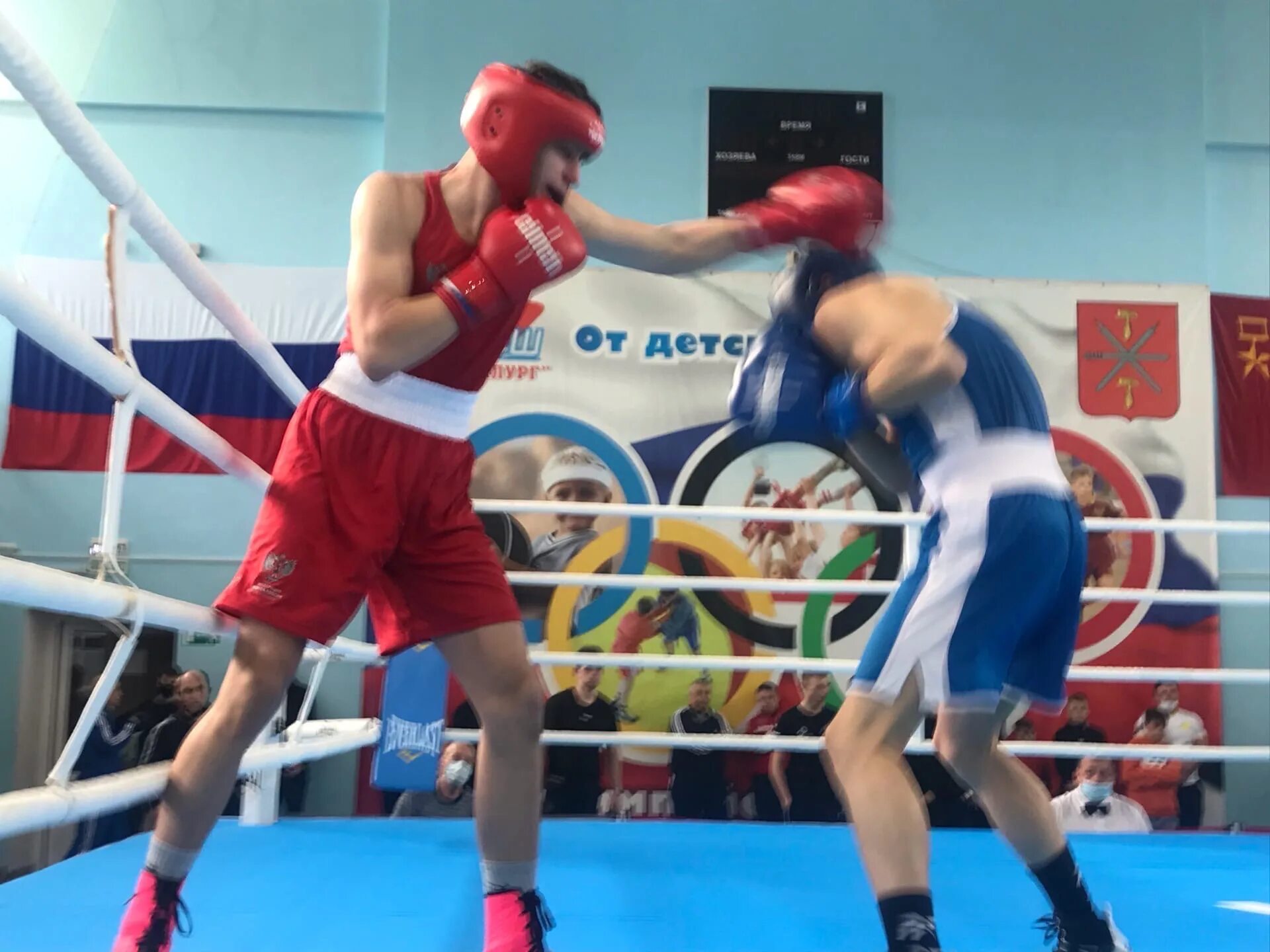Rus boxing. Чтз бокс. Rus boxing. Илез мальсагов бокс. Габил мамедов бокс.
