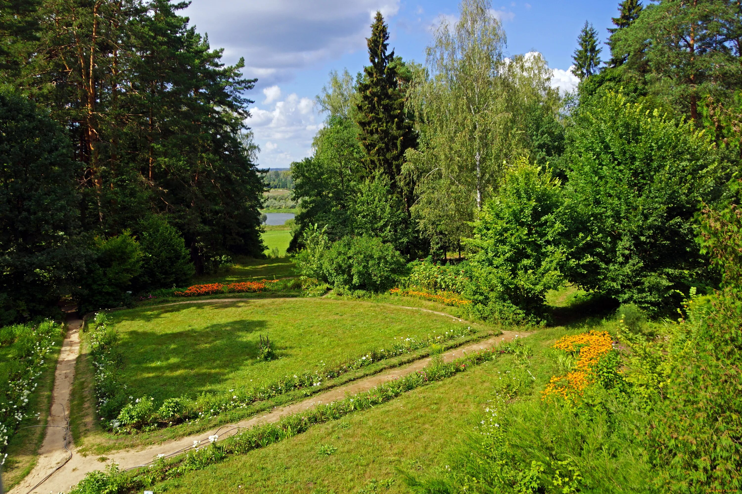 Природа Ясной Поляны Тульской области. Лесная Поляна Тула. Тульская область Поленово пейзажи. Лесная Полянка Калуга. Сайты парков россии