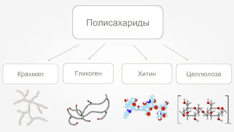 Крахмал и гликоген вещества. Полисахариды крахмал гликоген целлюлоза. полисахариды крахмал гликоген хитин. крахмал целлюлоза гликоген хитин. полисахариды запасные и целлюлоза хитин.