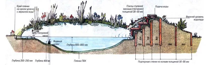 Конструкция водоема. Уровни пруда на участке. Схема устройства искусственных водоемов. Пруд с биоплато на даче своими руками. Пруд с биоплато и водопадом схема.