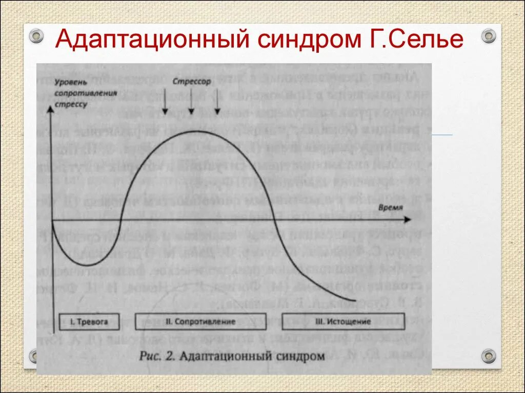 Стадия адаптации стресса