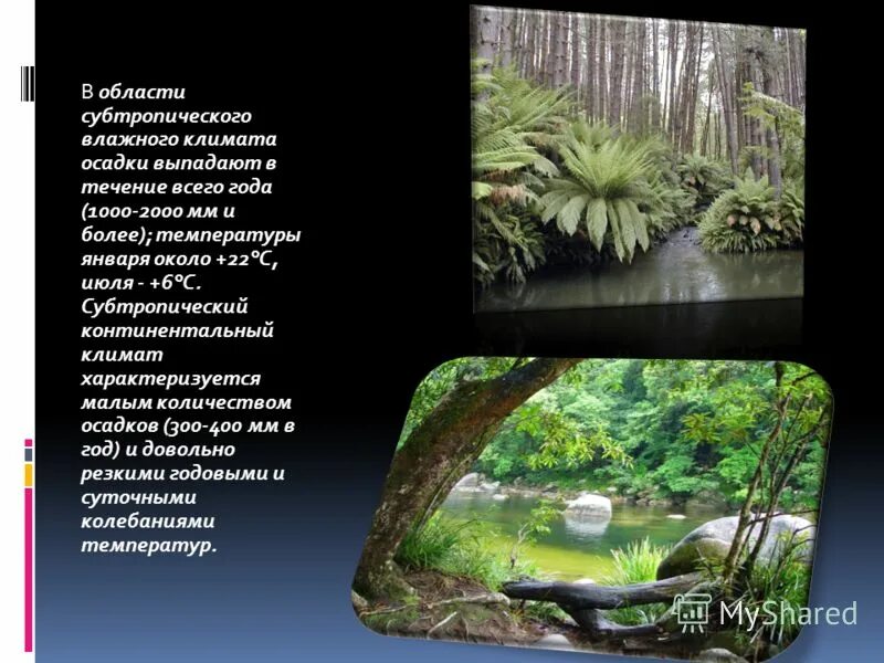 средняя температура субтропического пояса. субтропический климат осадки в год. температура суб тропикл. субтропический климат осадки в год. субтропический климат осадки в год.