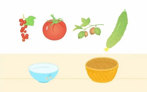 Игра разложи овощи и фрукты