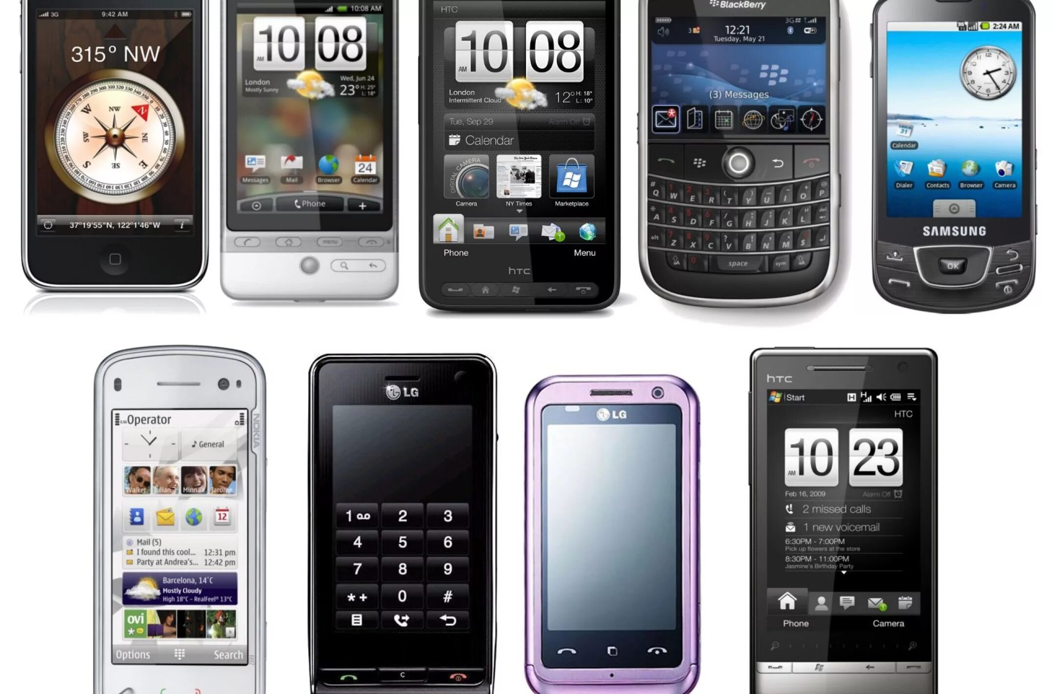 Иголки у сосны и елки. Дикий хинин. Утанвои сооотвесьтствие какой орган под цифрой 4. Названный сын. Жук черный жесткокрылый.