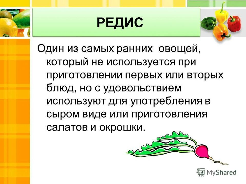 Редис сообщение. Редиска презентация. редис презентация для детей. овощи для презентации.