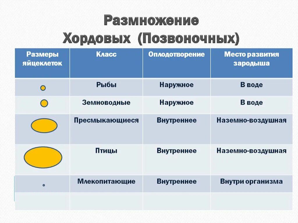 Сравните особенности размножения и развития позвоночных животных. Эволюция системы размножения у животных. Размножение и развитие позвоночных животных. Типы яйцеклеток хордовых животных. Тип размножения у хордовых.