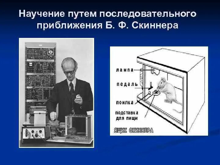 Оперантное научение скиннера. Ящик Скиннера. Модель научения Скиннера. Теория оперантного научения б Скиннера. Схематический механизм Скиннера.