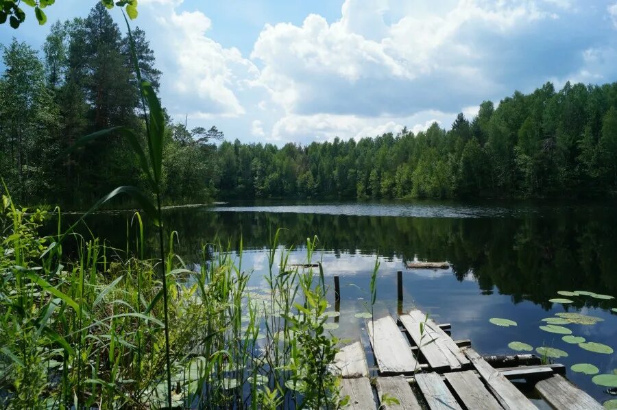 Озеро черепаха Сосновский район Нижегородская область. Сосновское озеро Нижегородская область. Озеро Родионово Сосновский район Нижегородская. Озера Сосновского района Нижегородской области. Сосновское нижегородской области озера