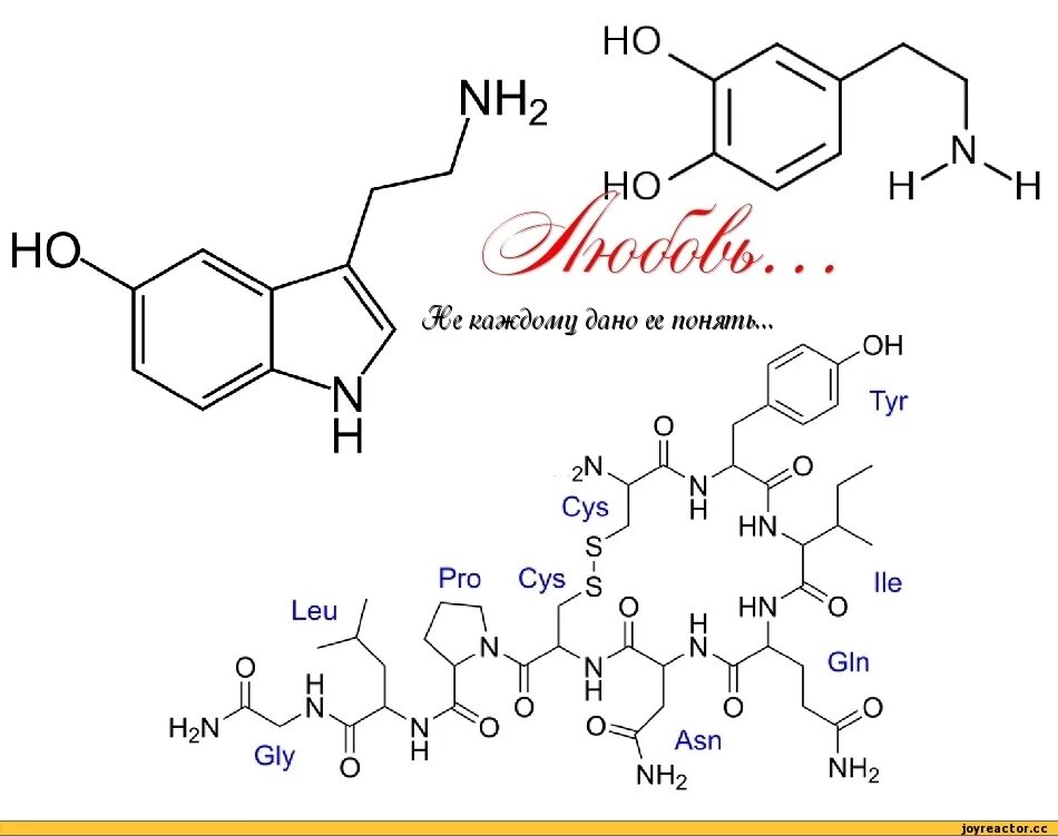 Формула любви химическая формула. Формула любви химия формула. Молекула окситоцина формула. Серотонин Эндорфин дофамин окситоцин формулы. Формула эндорфина