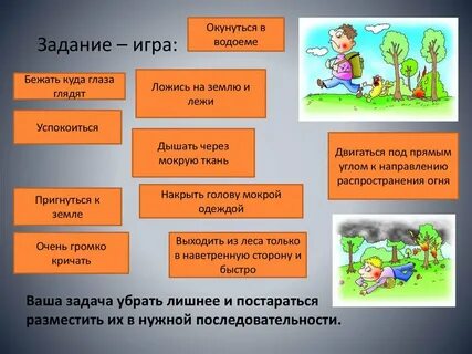 Что такое куда глаза глядят