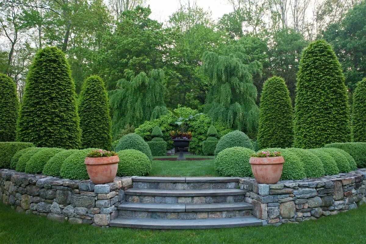 люпин св селекции. люпин (lupinus) сем. декоративные растения 7 класс. декоративные цветковые растения. декоративные растения для сада.