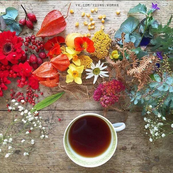 Pin on C ♡ FFEE-GROUP BOARD Winter coffee, Flat lay photography, Autumn inspirat