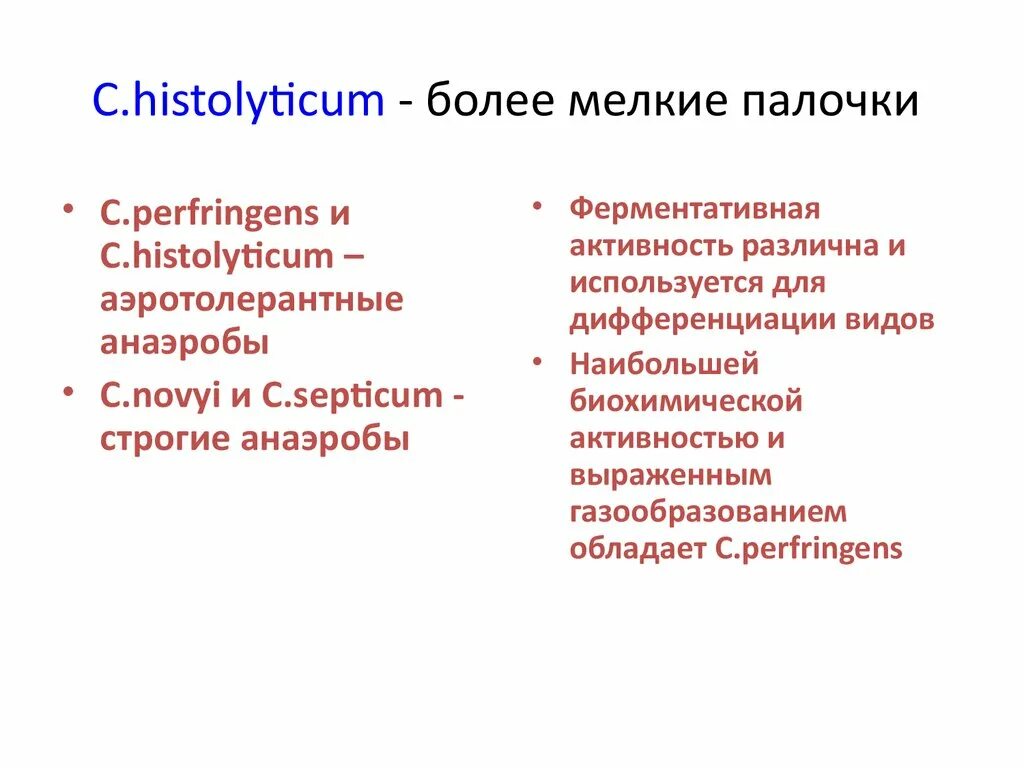 Аэротолерантные анаэробы. Смешанная мелкая палочка. Escherichia coli, чистая культура. Деревянная маленькая палочка. Мелкие грамположительные палочки.