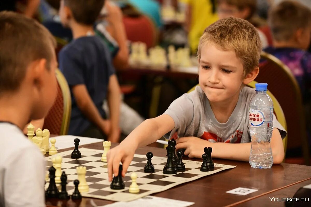 Данные шахматистов. Дети играют в шахматы. Данные шахматистов. Что развивают шахматы. Данные шахматистов.