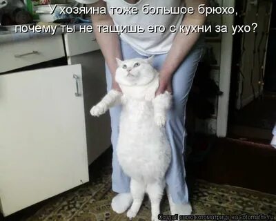 Тоже большая