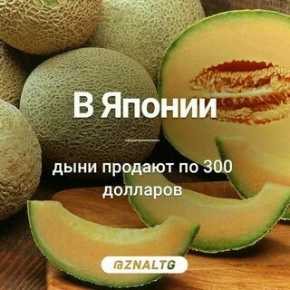 Хочу дыню