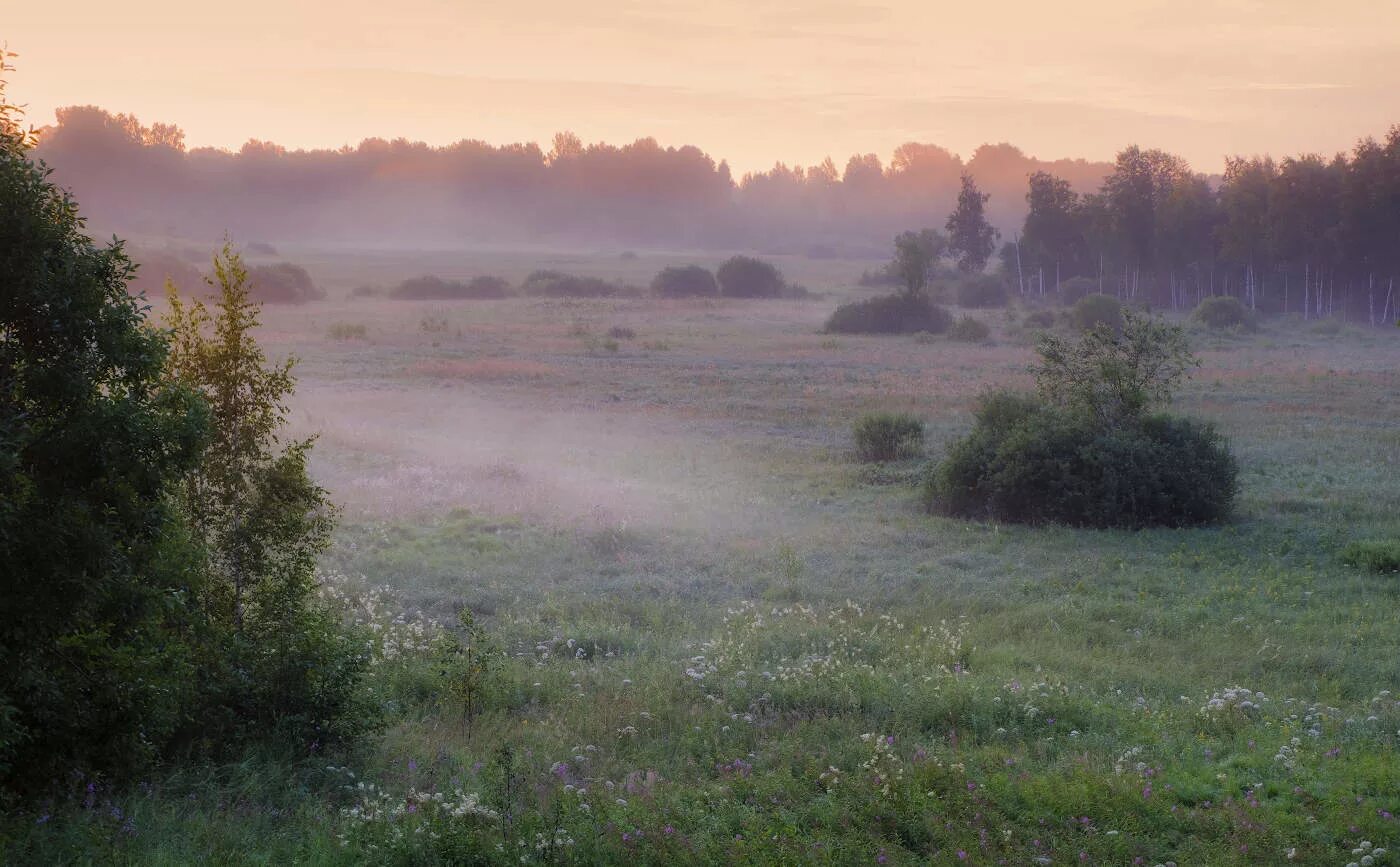 Луг туман. Поле в тумане. Туман стелется. Туманное утро. Молчание поля