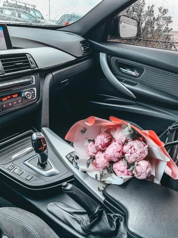 Imagine rose, car, and love Luxury flowers, Giant roses, Flowers