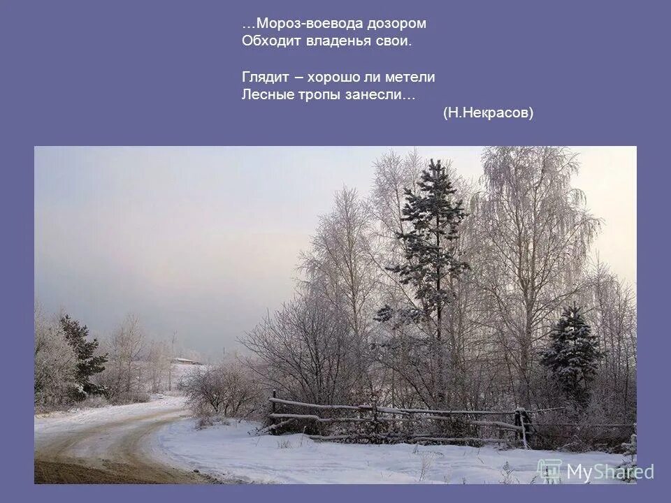 Мороз воевода стих. Стих некрасова мороз воевода дозором. Некрасов не ветер бушует над бором. Мороз воевода дозором обходит владенья свои текст. Стих н некрасова про мороза воеводу.