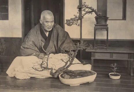 Bonsai enthusiast in Japan (1915 by Elstner Hilton) (cropped).jpg. 