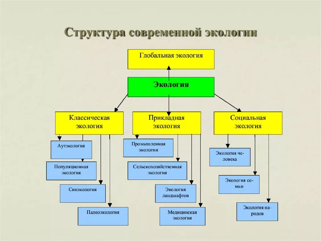 Как отразились современные. Составьте схему структура современной экологии. Логическая схема структура современной экологии. Схема структуры современных экологических знаний. Составить схему структура экологии.