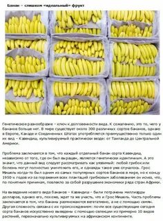 Можно есть много бананов