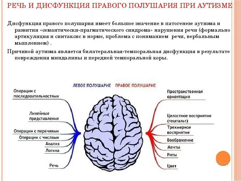 Как развивать ребенку левое полушарие