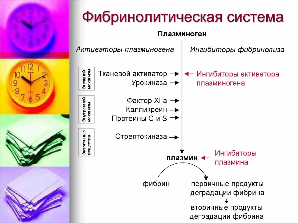 Фибринолитики это. Активаторы фибринолитической системы крови. Компоненты системы фибринолиза. Механизмы активации фибринолитической системы. Механизм действия фибринолитиков схема.