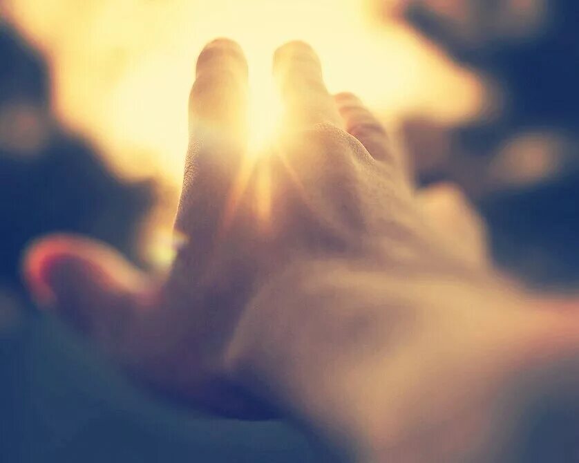 Дарина резник. Свет в ладонях. Лучик солнца в руках. Лучик солнца в руках. Солнце в руках.