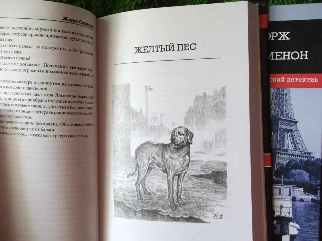 Собака сколько страниц. Сименон желтый пес. Книга желтый пес.