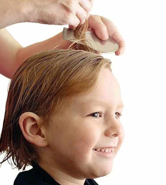 Вши налысо. Вши налысо. Кейт флэннери побрилась налысо. Вши налысо. Стрижка налысо с затылка.