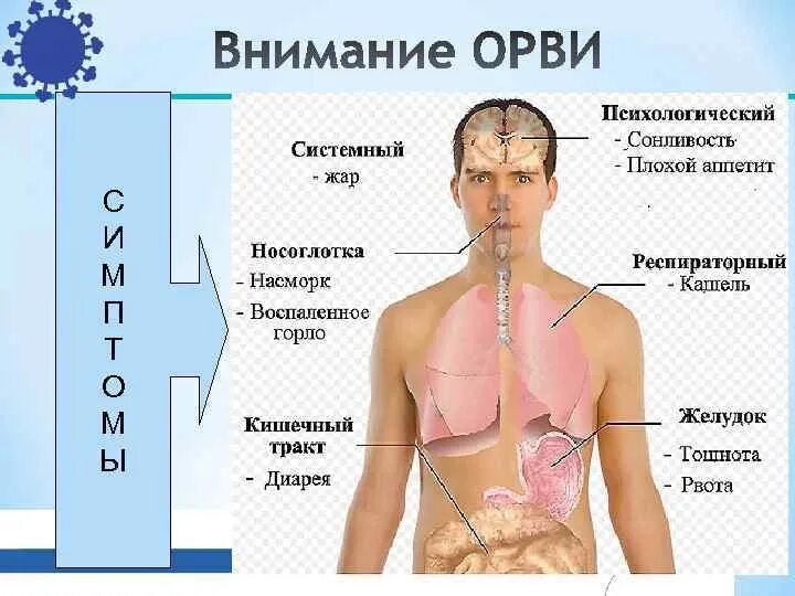 Постоянно кидает в жар. Симптомы острого респираторного инфекционного заболевания. Орвит. Острые респираторные заболевания (ОРЗ). ОРВИ симптомы.